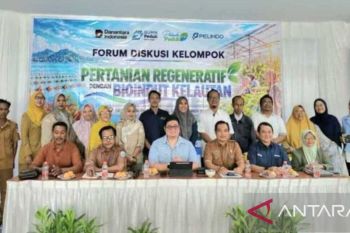 Pelindo mengkaji pemanfaatan rumput laut untuk pertanian Sumbawa Barat
