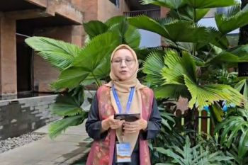 PVMBG benarkan pertumbuhan Gunung Anak Krakatau cepat, namun masih aman