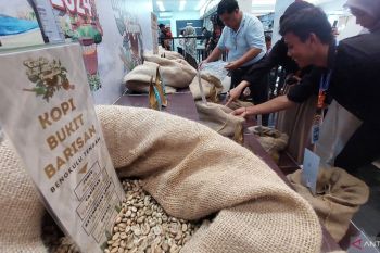 Langkah UMKM kopi Bengkulu menuju pasar global