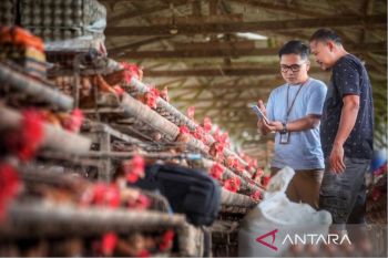Indeks bisnis UMKM BRI Triwulan II 2026: UMKM tetap tangguh, optimisme usaha kian menguat