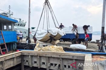 Bulog Manokwari salurkan 184,56 ton beras ke Teluk Wondama