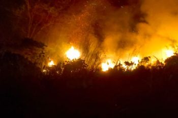 Tim gabungan padamkan kebakaran hutan-lahan di Tojo Una-Una