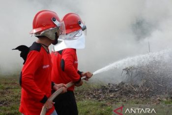 Sembilan jam berjibaku, Karhutla di Bangka Barat berhasil dikendalikan
