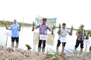 https://cdn.antaranews.com/cache/350x233/2026/09/18/1000353147.jpg
