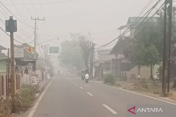 Kabut asap pekat selimuti wilayah HST