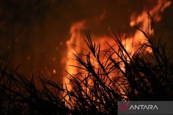 BPBD Palembang padamkan kebakaran lahan di Sematang Borang