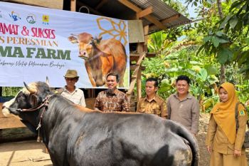 PLN UID Sulselrabar dorong kemandirian ekonomi di Sinjai