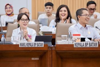 Pelni Batam sediakan 1.172 tiket arus mudik program tiket gratis lebaran
