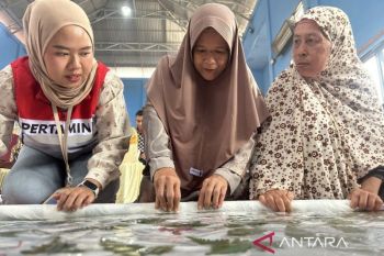 Pertamina EP Jambi mendorong ekonomi produktif lansia di Kota Karang