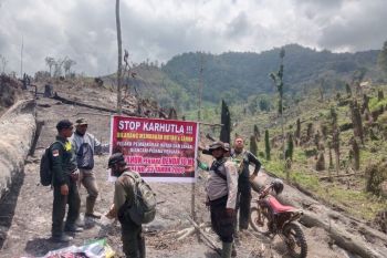Jember police warn of 15-year jail term for forest burning