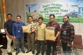 Ekspor perdana sarang burung walet Kalbar ke Singapura Rp1,3 Miliar