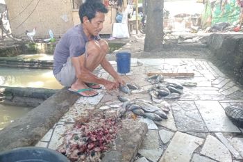 Diskan Mataram melatih pembudidaya buat pakan mandiri berbasis limbah