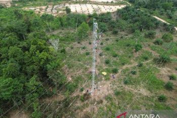 Bergerak cepat amankan jalur transmisi kritis, pasokan listrik Jambi tetap andal