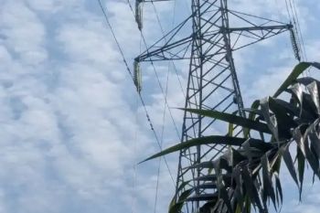 Tanpa Pemadaman, PLN Jaga Keandalan Pasokan Listrik melalui Penggantian Isolator Transmisi