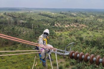 Gerak cepat Tim PDKB PLN atasi Hotspot SUTET tanpa padam, keandalan listrik masyarakat tetap terjaga