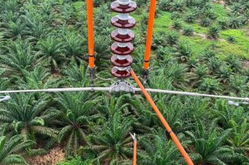 PLN Jaga keandalan pasokan listrik, penggantian isolator SUTT berhasil dilakukan tanpa padam di Medan