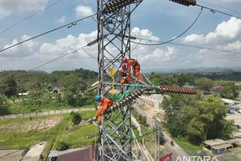 Kinerja PLN jaga denyut listrik Lampung, pemeliharaan SUTT 150 kV Pagelaran--Kota Agung perkuat keandalan pasokan