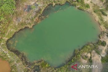 Dinas ESDM Kaltim kawal penanganan lubang bekas tambang secara aman