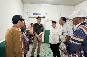 Pemprov Papua terus fokus kembangkan potensi ekonomi sektor perikanan