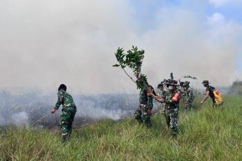 Komite gabungan turut tangani karhutla di TNWK Lampung