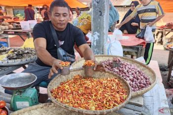 Harga cabai rawit di Gorontalo Utara Rp200.000 per kilogram