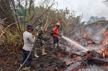 Bersatu padamkan Karhutla, PT Arara Abadi gandeng TNI/Polri dan masyarakat di Mempura-Siak