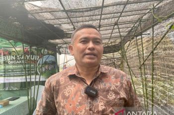 Indonesia boosts local crowd action to accelerate SDG progress