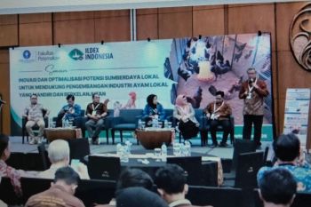 IPB University kembangkan budi daya ayam lokal melalui inovasi genetik serta nutrisi