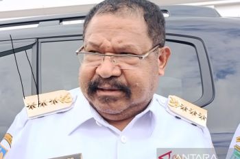 Pemprov Papua Pegunungan imbau masyarakat hijaukan hutan gundul