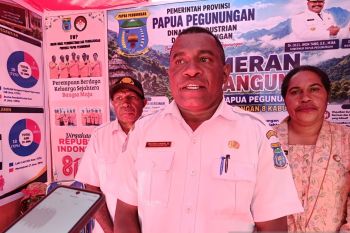 Pemprov prioritaskan pendataan pelaku ekonomi kreatif di Papua Pegunungan
