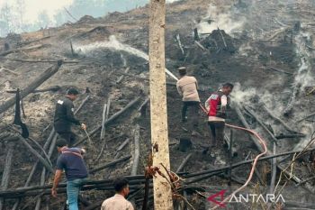 Satgas karhutla padamkan dua hektare lahan terbakar di OKU Selatan