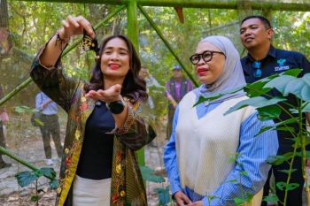 Indonesia targets global recognition for Bantimurung National Park