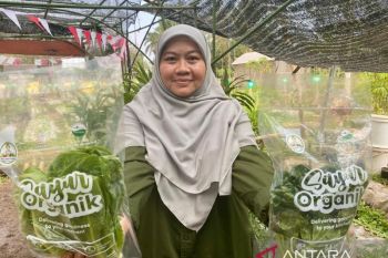 Pangan organik dari Malang; membangun ekosistem untuk rantai kehidupan