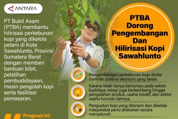 PTBA dorong pengembangan dan hilirisasi kopi Sawahlunto