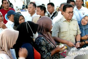 Mendag pastikan harga bahan pokok di Pasar Potrojayan Sleman stabil