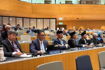 Indonesia pushes faster global rules to protect traditional knowledge