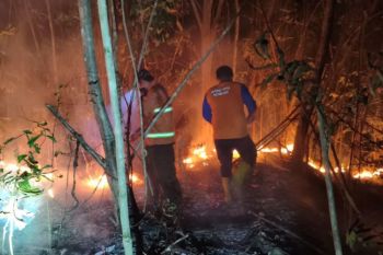 Tim gabungan padamkan karhutla 7,32 hektare pada dua lokasi di Penajam