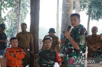 Gubernur Jambi dukung inovasi penanaman bambu cegah karhutla di lahan gambut