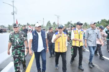 Bupati Bireuen kembali usul pembangunan tiga jembatan lagi
