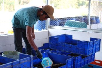 Unhas kelola 2,8 ton sampah organik di kampus