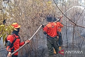 Satgas BPBD lanjutkan pemadaman karhutla di Gunung Megang Muara Enim
