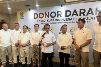 Indonesia prepares E50 bioethanol roadmap to end gasoline imports