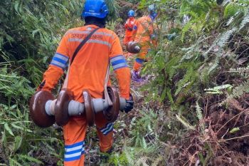 Tanpa Padam, Tim PDKB PLN UPT Palembang laksanakan penggantian Isolator Flashover SUTET 275 kV