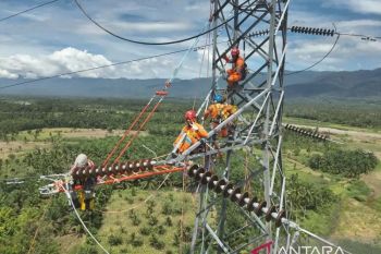 PLN pastikan listrik andal selama momen Iduladha di Padangsidimpuan