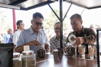 Sleman meluncurkan Kopi Keliling Merapi perkuat pemasaran kopi lokal