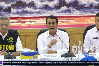 Mentan: Penindakan impor beras ilegal lindungi petani, jaga swasembada