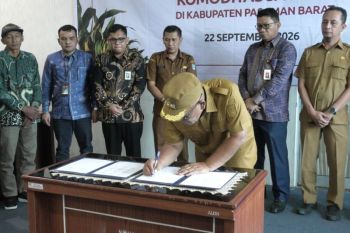 Pemkab Pasaman Barat - OJK kerja sama kembangkan komoditas jagung