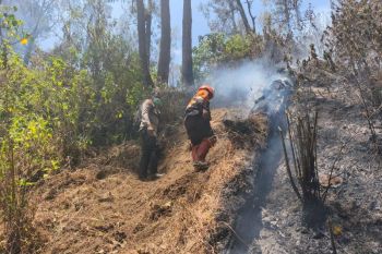 Perhutani pastikan kebakaran di Gunung Butak sepenuhnya padam