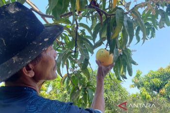 BPS mengungkapkan PDRB Kabupaten Cirebon Rp19 triliun periode triwulan I 2026