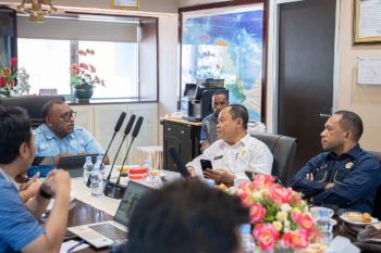 PLN bersama DEN bahas implementasi PLTS 100 GW di Tanah Papua